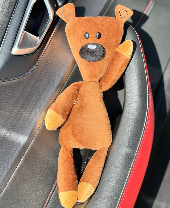 تدی مستربین