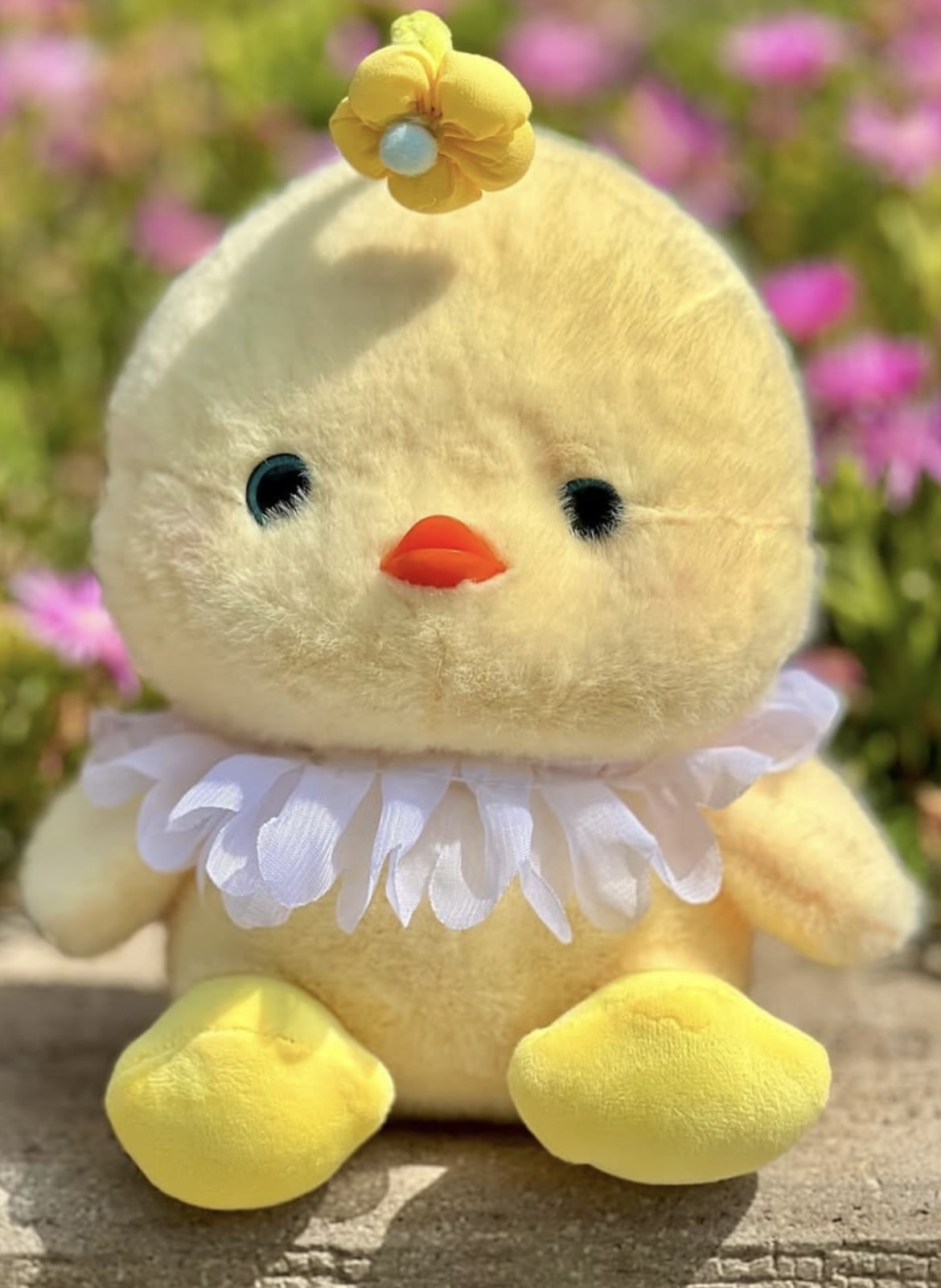 جوجه گل به سر