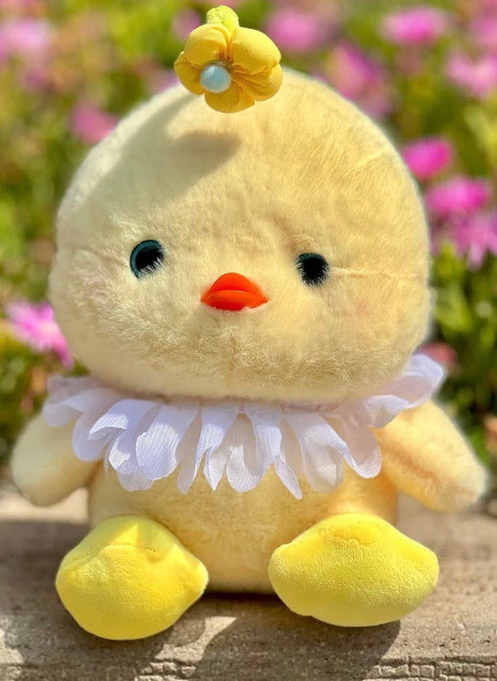 جوجه گل به سر