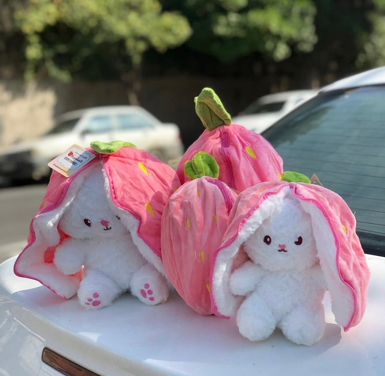 خرگوش سوپرایزی