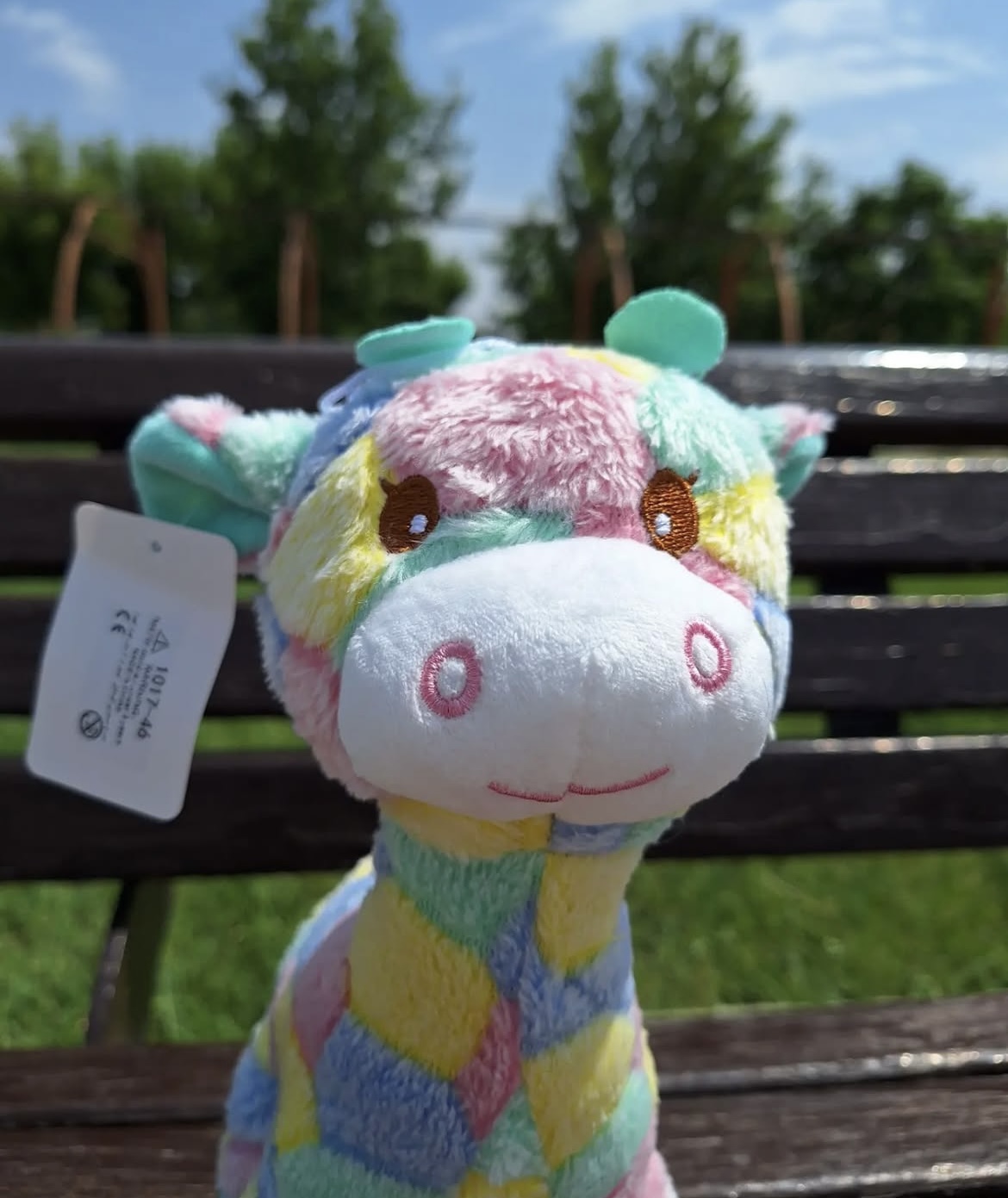 زرافه فانتزی