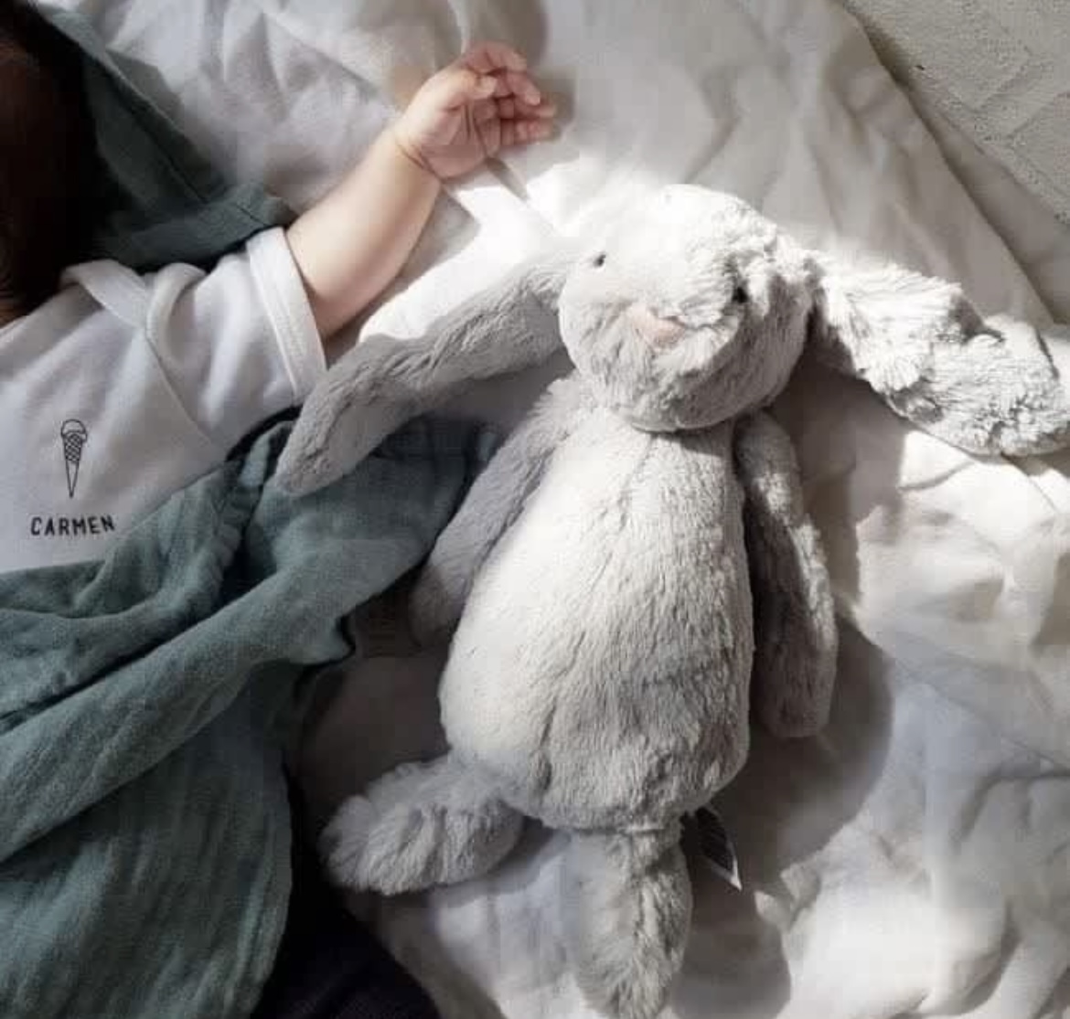 خرگوش جیلی کت