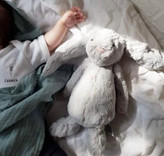 خرگوش جیلی کت