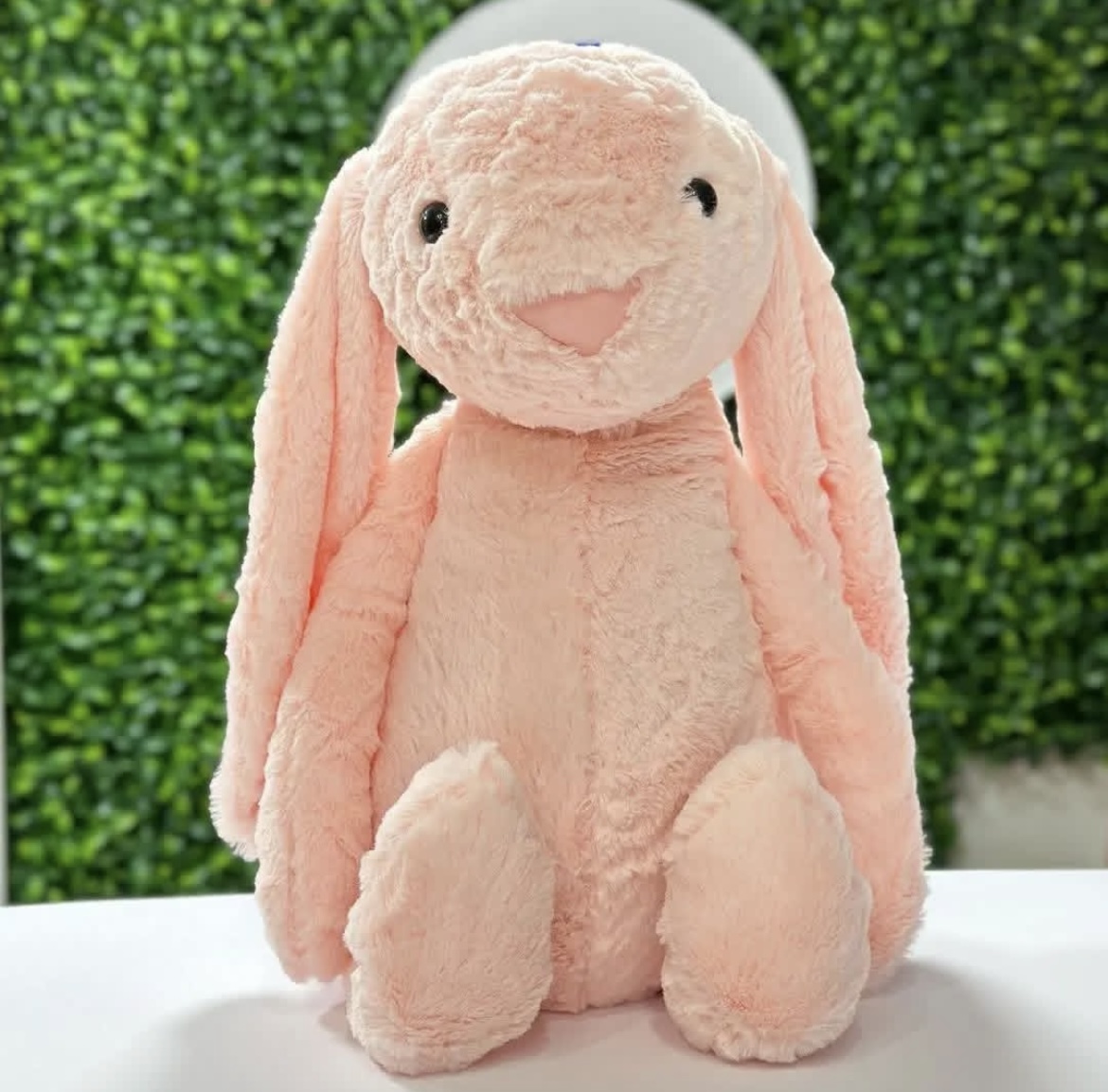 خرگوش جیلی کت