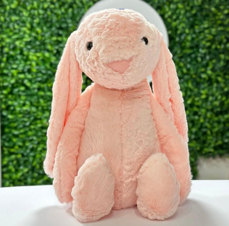 خرگوش جیلی کت