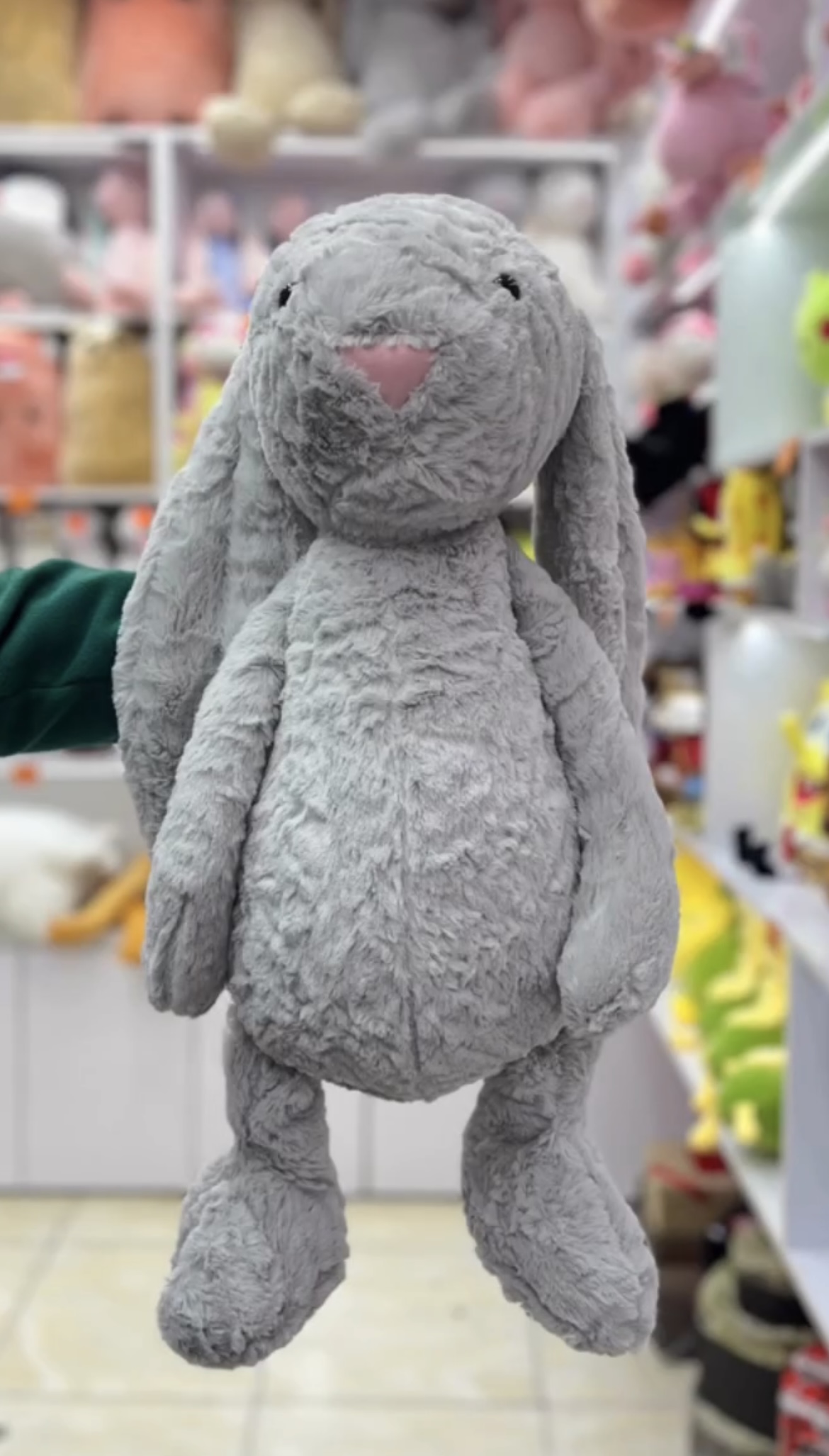 خرگوش جیلی کت