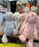 خرگوش جیلی کت