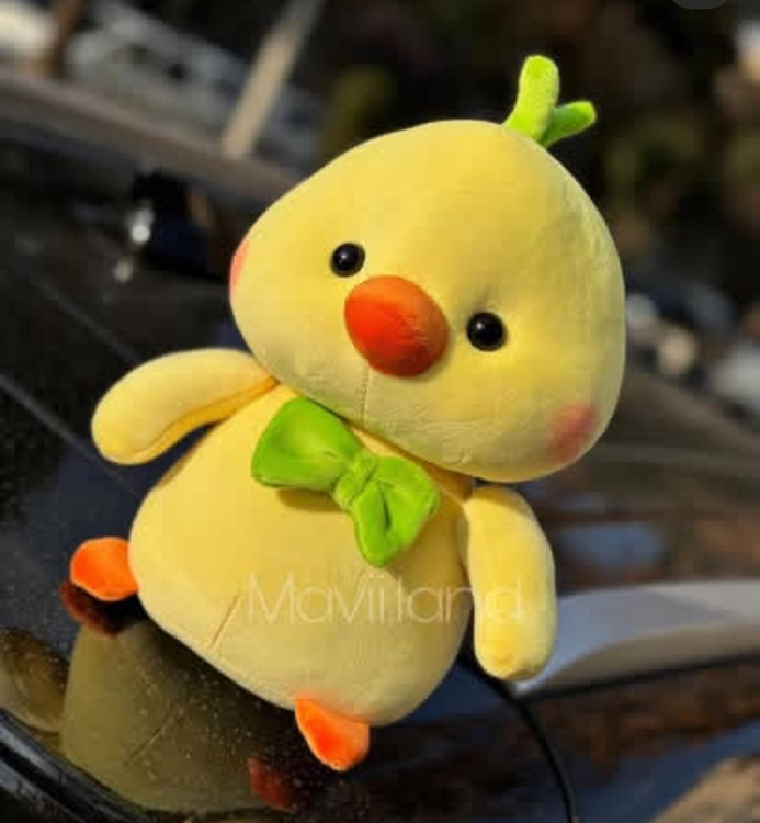 جوجه فانتزی