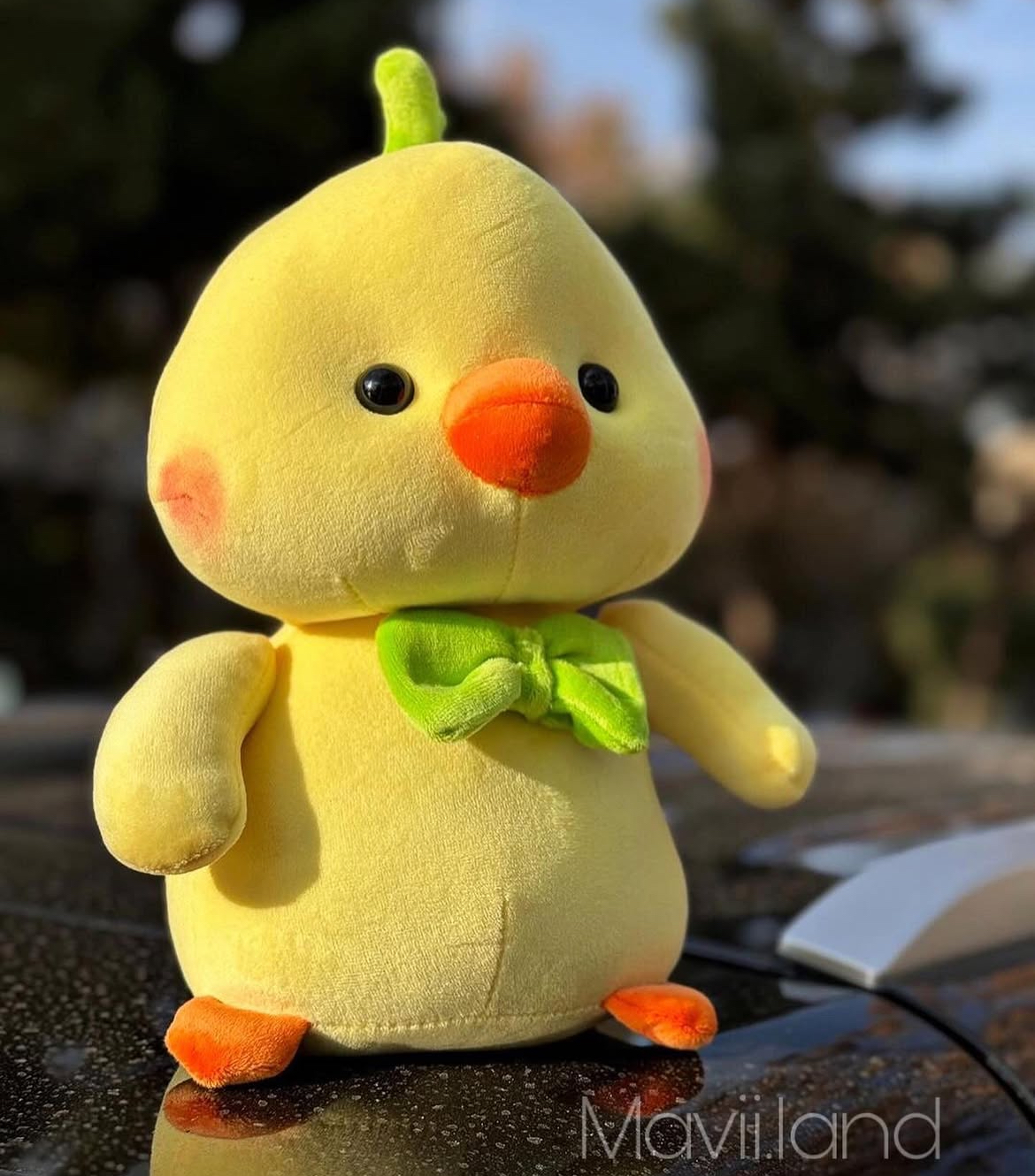 جوجه فانتزی