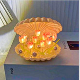 چراغ خواب دشت لاله