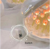 چراغ خواب دشت لاله