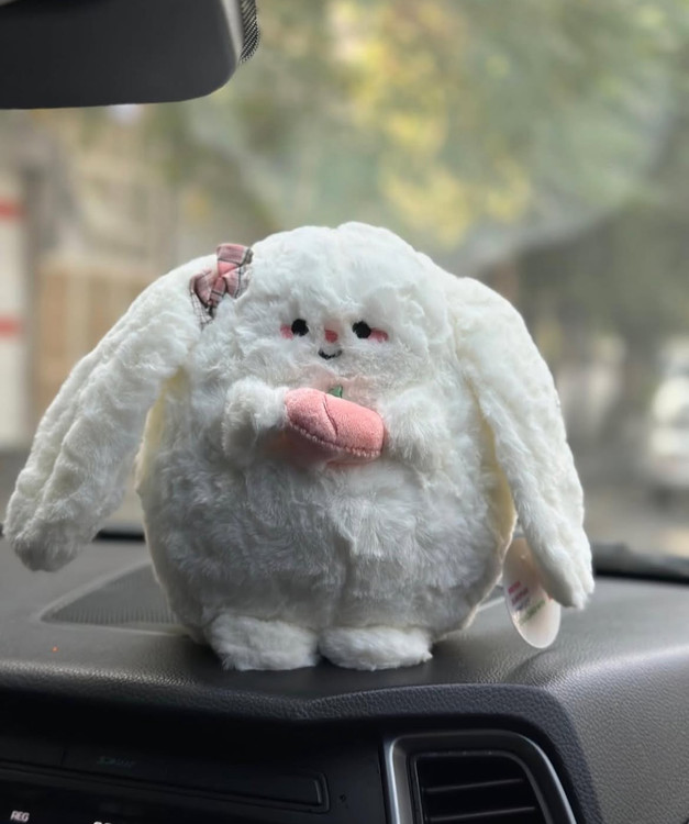 عروسک خرگوش فانتزی کیوت