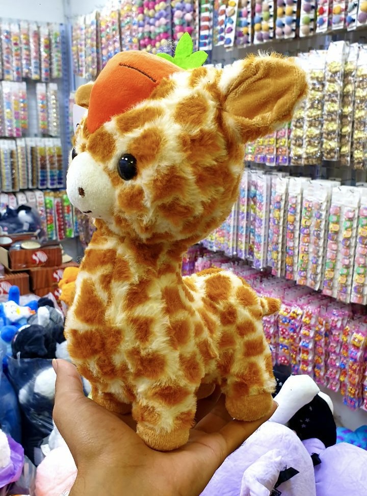 زرافه خارجی