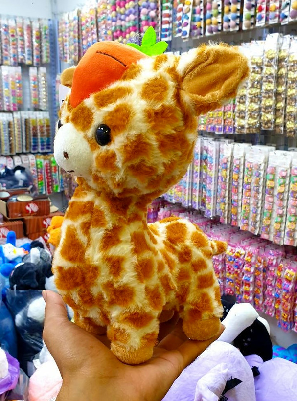 زرافه خارجی