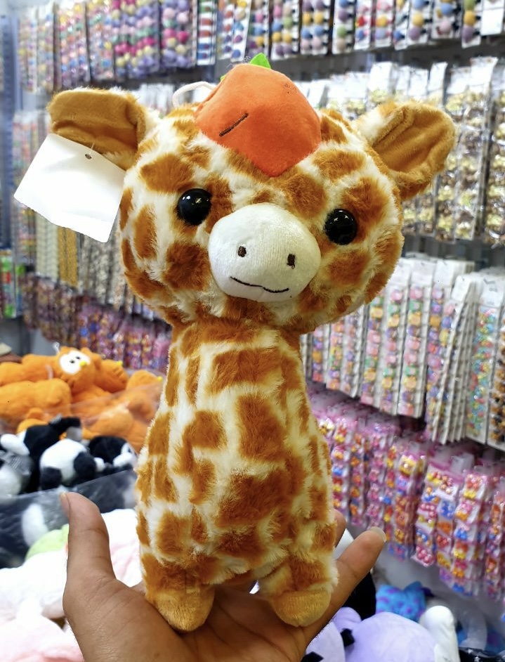 زرافه خارجی